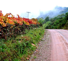 Caminhos de Pedra - Serra Gaúcha - Site Guiabento