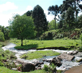 Estrada do Sabor - Serra Gaúcha - Site Guiabento
